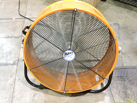 Fan